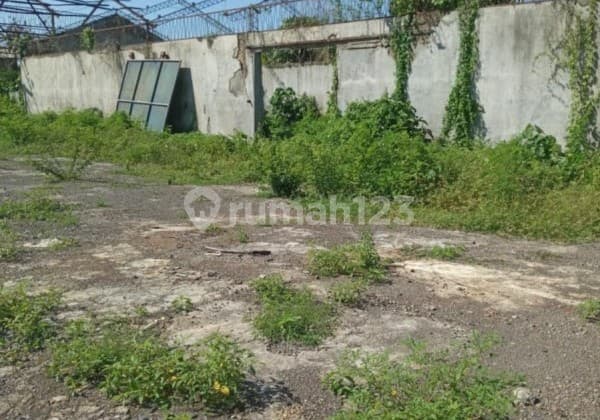 Tanah di Muncar Banyuwangi GMK00727