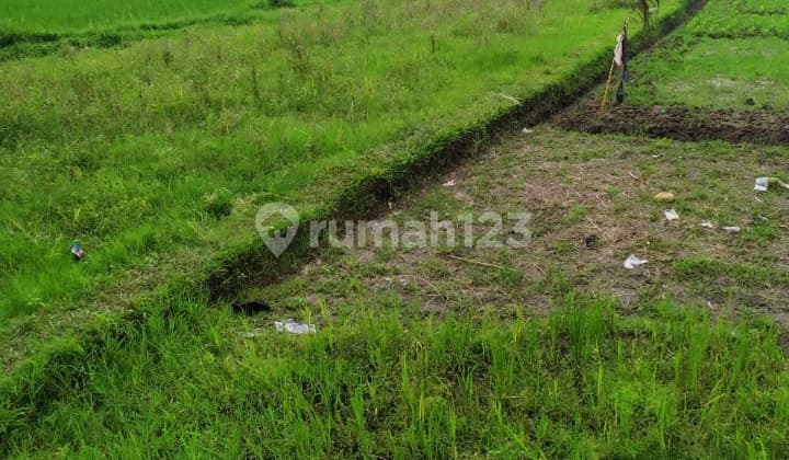 Tanah sewa view cantik di Central ubud harga murah