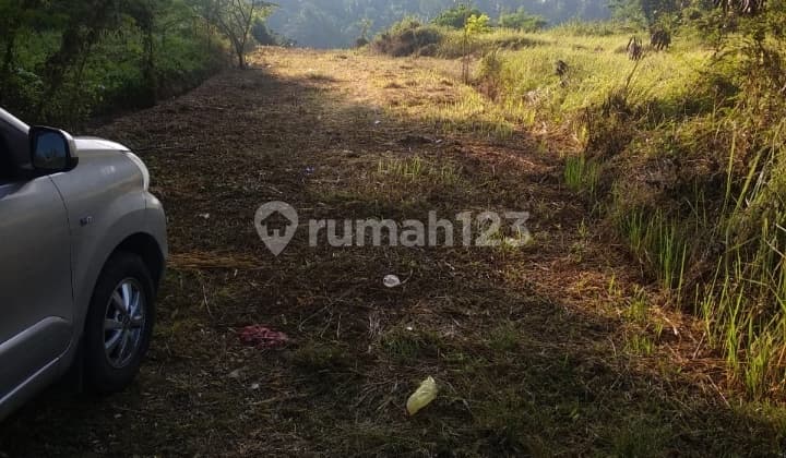 The cheapest land in this location is suitable for villas / investment