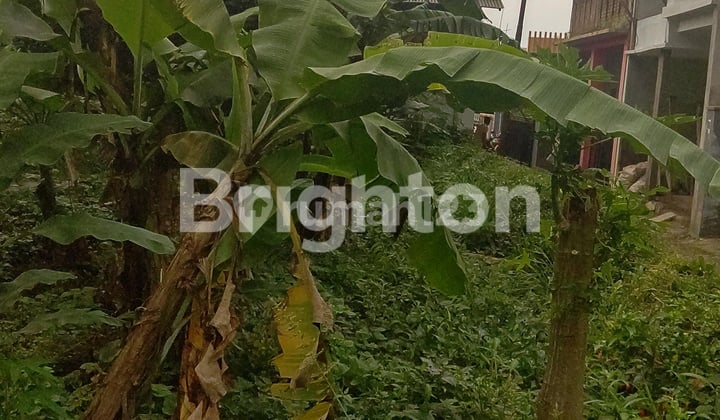 TANAH COCOK UNTUK BANGUN RUMAH ATAU BERKEBUN