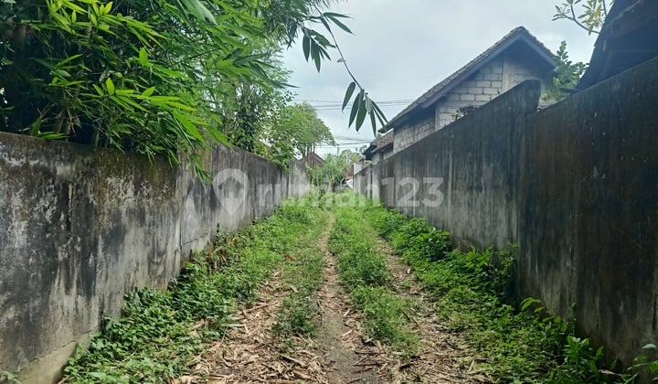 Sell cheap land Pandan Bandung Kediri Tabanan