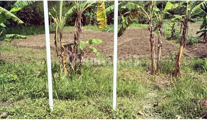 Tanah Pinggir Jalan Raya Dekat Pabrik Tas Pungkook