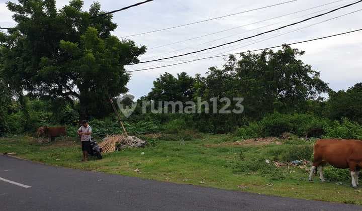Super cheap land in Ungasan, Jimbaran, Bali