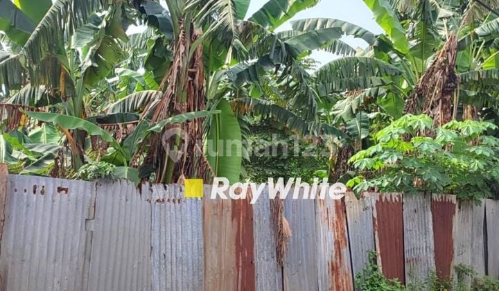 Tanah Luas Lokasi Strategis Di Pamulang