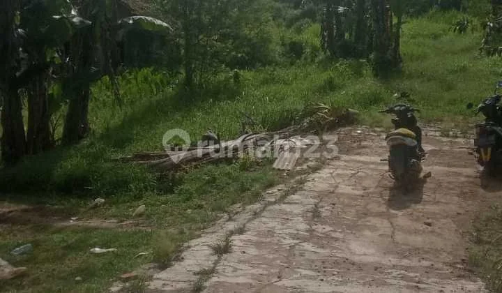 Kavling Tanah Lokasi Bagus Kavling Tanah Lokasi Bagus