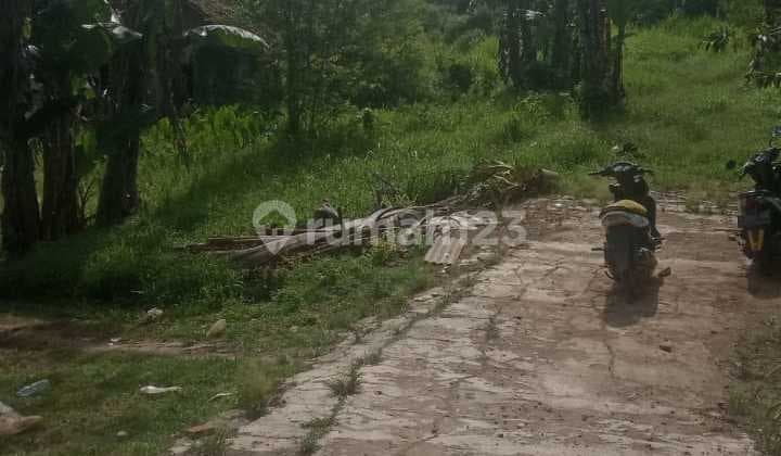 Kavling Tanah Lokasi Bagus