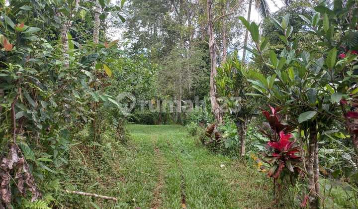 Land for Retreat at Belimbing, Pupuan, Tabanan, with Beautiful River View