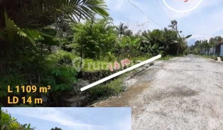 TANAH CANTIK DAN MURAH DI TURI TANAH CANTIK DAN MURAH DI TURI