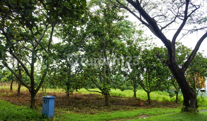 Kavling Strategis dengan Dua View Gunung dan Jalan Utama di Cluster Bukit Golf Hijau, Sentul City