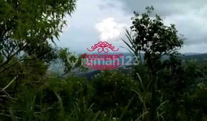 Tanah Jual Lokasi Wanagiri