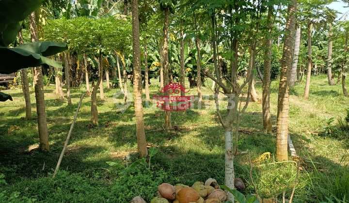 Tanah Jual Lokasi Saba