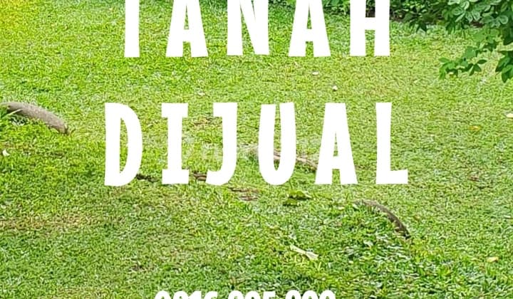 Prime Commercial Land Excellent Location Affordable Price