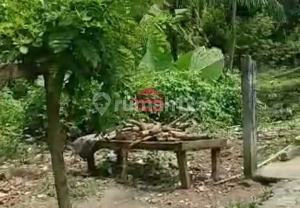 Tanah Jual Lokasi Pejeng