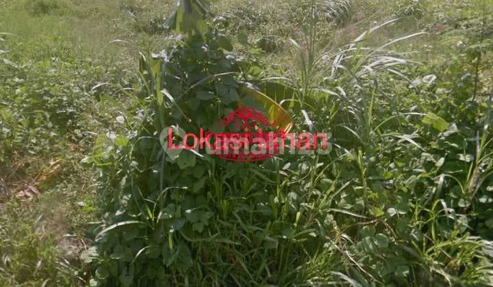 Land for Sale Location Padang Galak