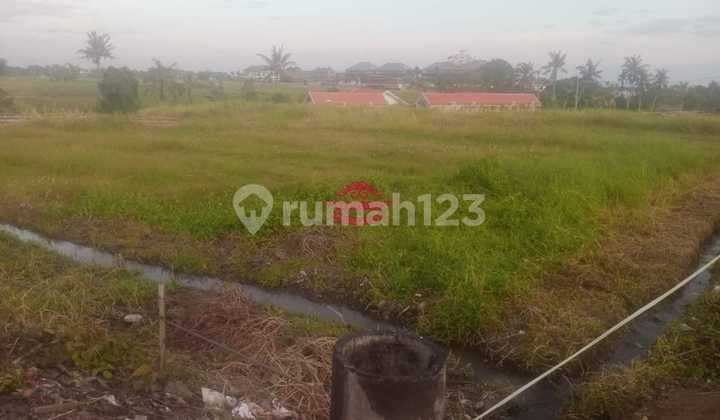 Tanah Jual Lokasi Seseh