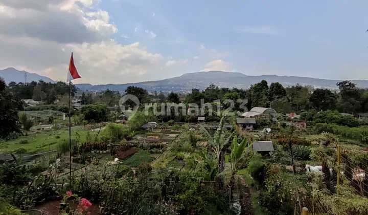 Tanah di mainroad Sersan Bajuri Tanah di mainroad Sersan Bajuri