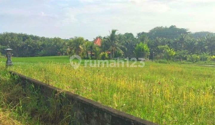 TANAH VIEW SAWAH KAWASAN VILLA TABANAN