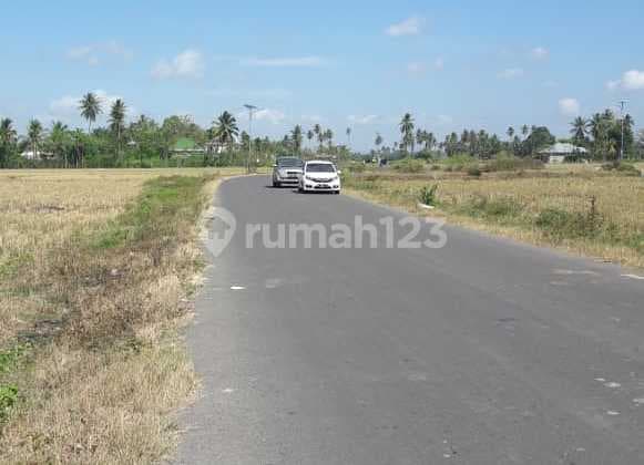 Dijual Tanah strategis 1 Ha di pinggir jalan Kesehatan, Gorontalo