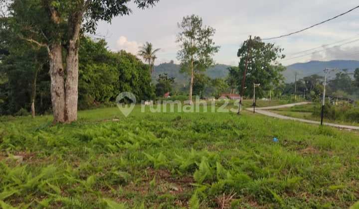 Land in Halong Ambon Area 3,958m2 Near Main Road