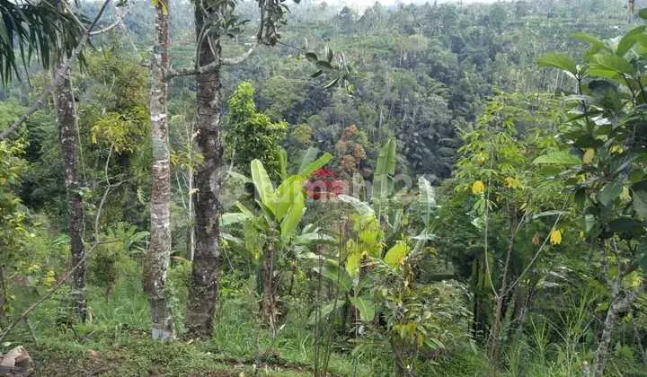Land for Sale Location Puhu