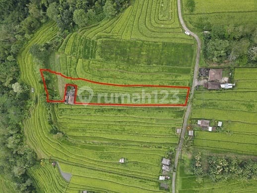 Land for Tourist Destination in Jatiluwih, Tabanan