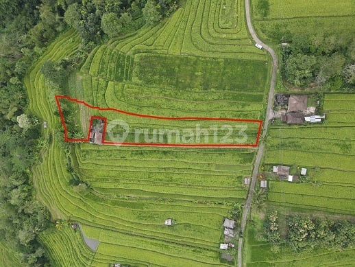 Land for Tourist Destination in Jatiluwih, Tabanan