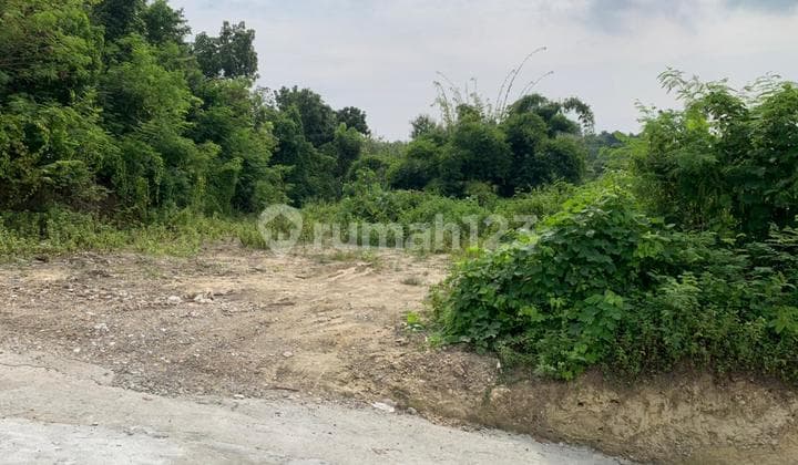 Tanah istimewa di kawasan sangat berkembang di Kasongan, Bangunjiwo, kasihan Dekat ke Kasongan, UMY, dll, Cocok utk tnh kavling/rmh siap bangun, villa, dll, area sdh bnyk perumahan