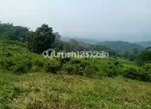 Tanah Murah di Cariu, Bogor Luas 1,2 Ha Shm .. Bisa Dibeli Sebagian