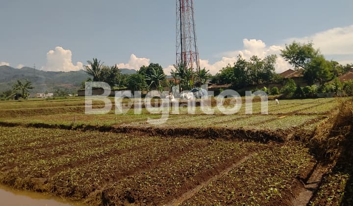 LADANG PRODUKTIF DEKAT VILA KOSONG