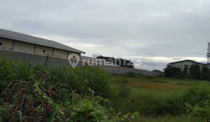 avling di kawasan pergudangan sentra kosambi