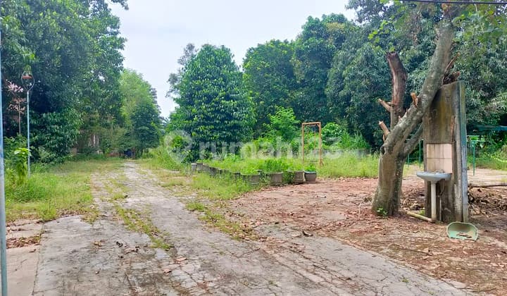 Dijual murah tanah di Cibubur