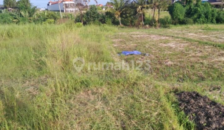 Tanah dekat pantai lima pererenan paling murah
