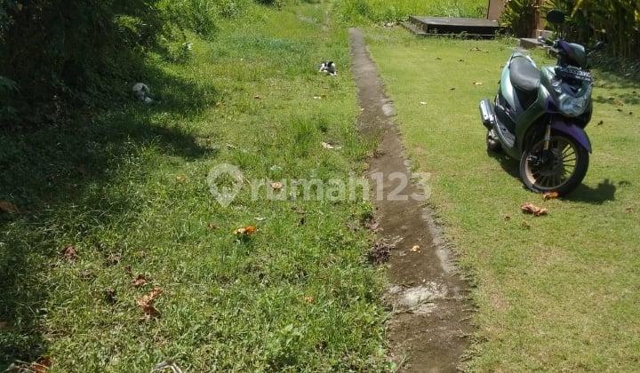 Large land with cool view in Ubud suitable for villa / plot
