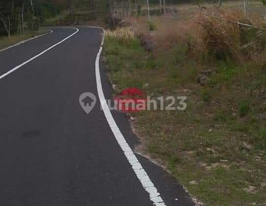 Land for Sale Location Pecatu