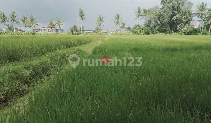 Land for Sale Location Nyambu