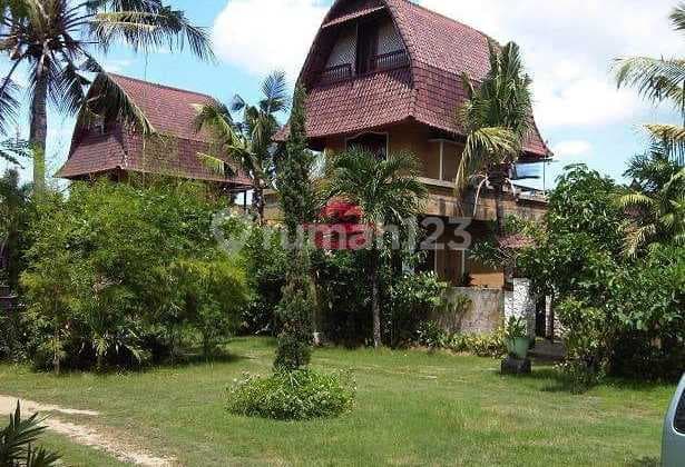 Tanah Jual Lokasi Tuban