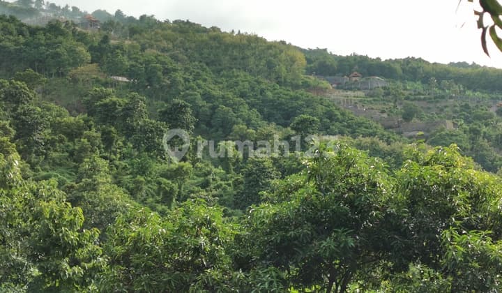 Dijual tanah 4 hektar View ocean unblock