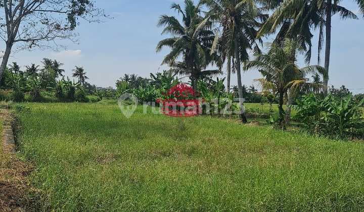 Tanah Jual Lokasi Seseh