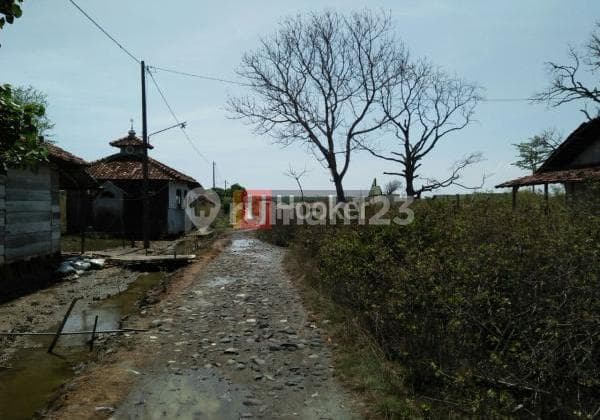 Kavling tambak di Patebon Kendal