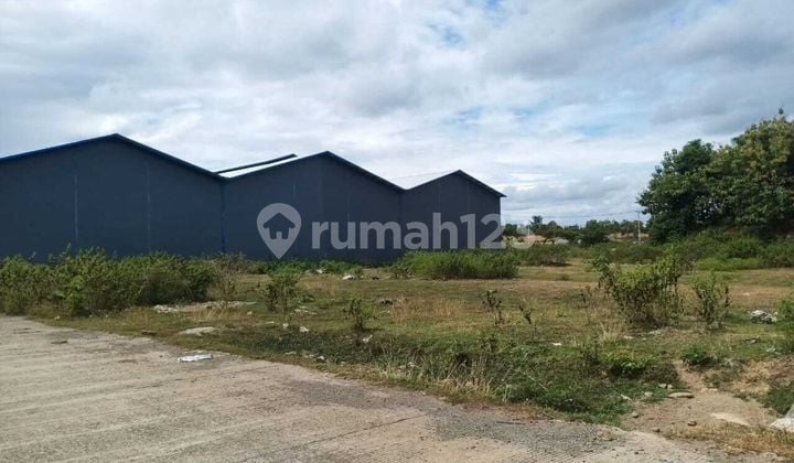 Land area 5000 square meters, corner position in Pattene warehouse, Makassar.