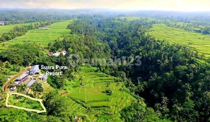 Tanah siap bangun villa dengan view 360° sawah terasering