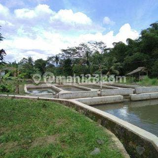 Tanah Villa Kolam Air Deras Jalur Wisata Tenjolaya Bogor