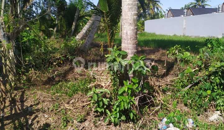 Tanah siap bangun villa di ubud lokasi strategis