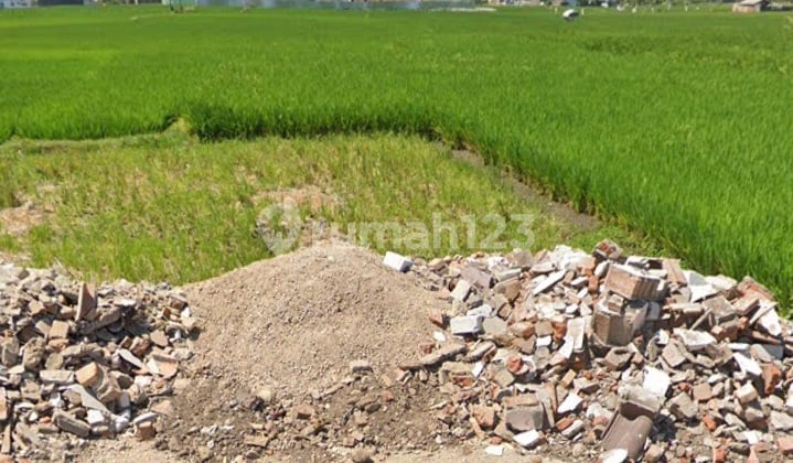 Tanah Murah Dijual Di Hampor Garut Kota – Dekat Cipanas & Samarang, Cocok Villa