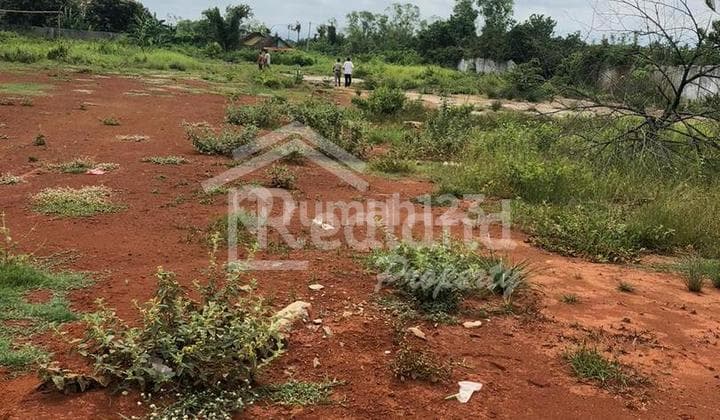 Tanah di daerah Batang ( Ls 3898 )