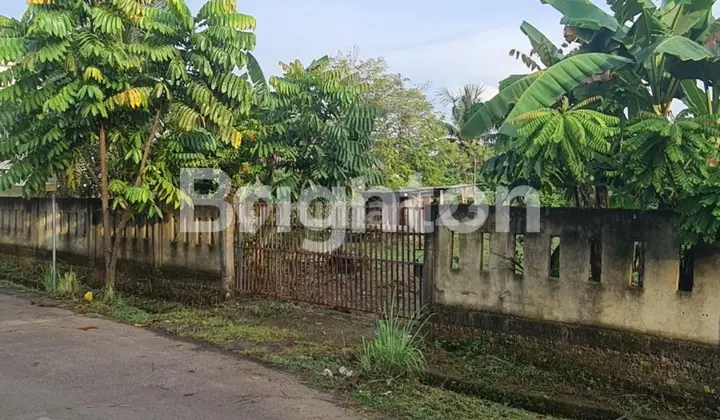 Tanah Pinggir Jalan