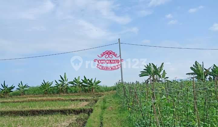 Land for Sale Location Tibubiu