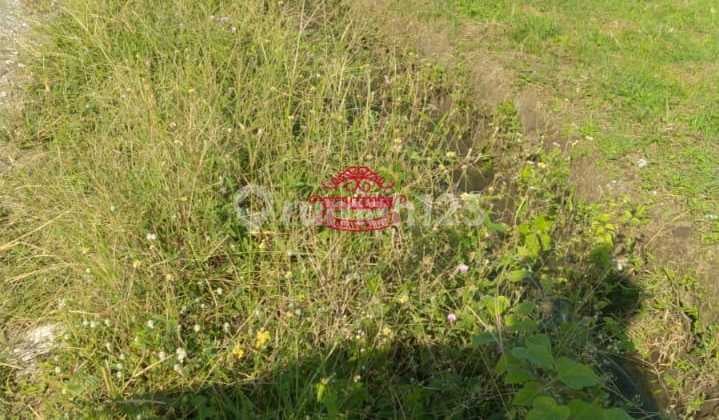 Tanah Jual Lokasi Munggu