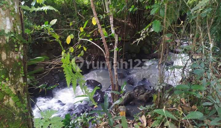 Los Sungai garden land with rice field view near the main road, ready to build