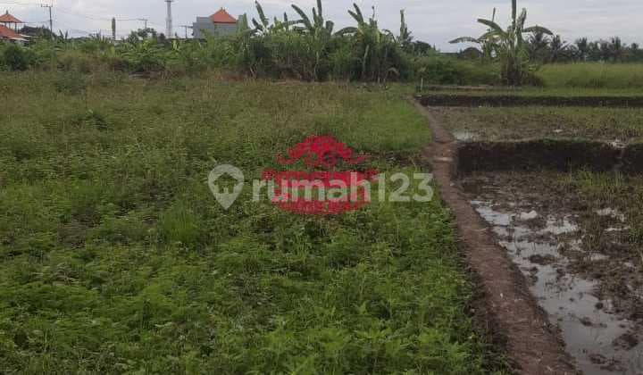 Land for Sale, Nyambu Location